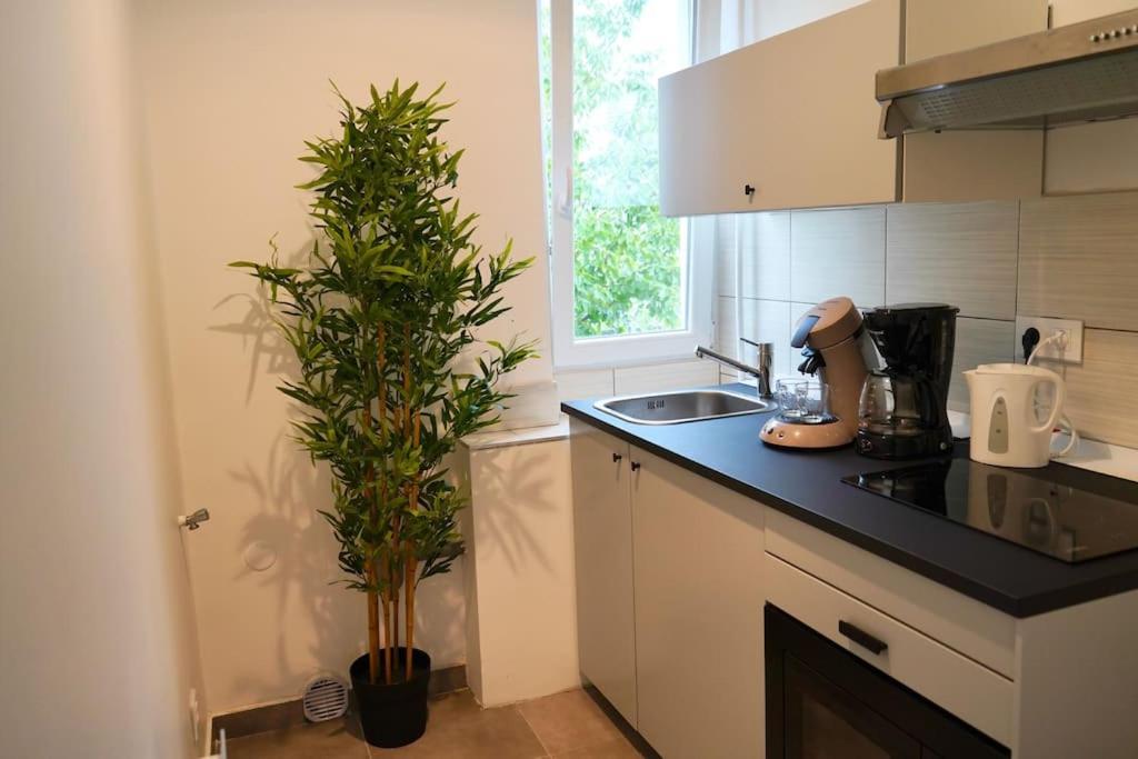 Rm-1 - Appartement F2 Au 1Er Etage Pour 1-3 Pers ミュルーズ エクステリア 写真